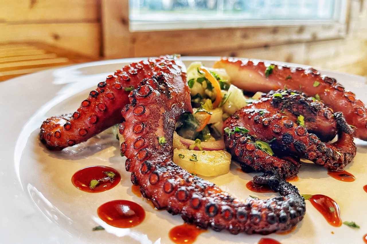 Tentáculos de polvo grelhado com textura caramelizada, acompanhados de salada colorida e molho em um prato branco.